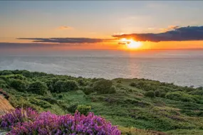 adminisztratív távmunka