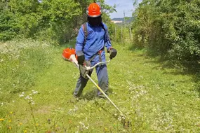Fűkaszálás, Bozótírtás
