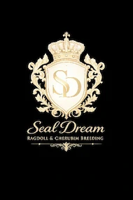 Seal Dream Ragdoll & Cherubim 