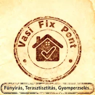 VasiFP