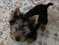 Betty 