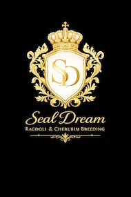 Seal Dream Ragdoll & Cherubim 