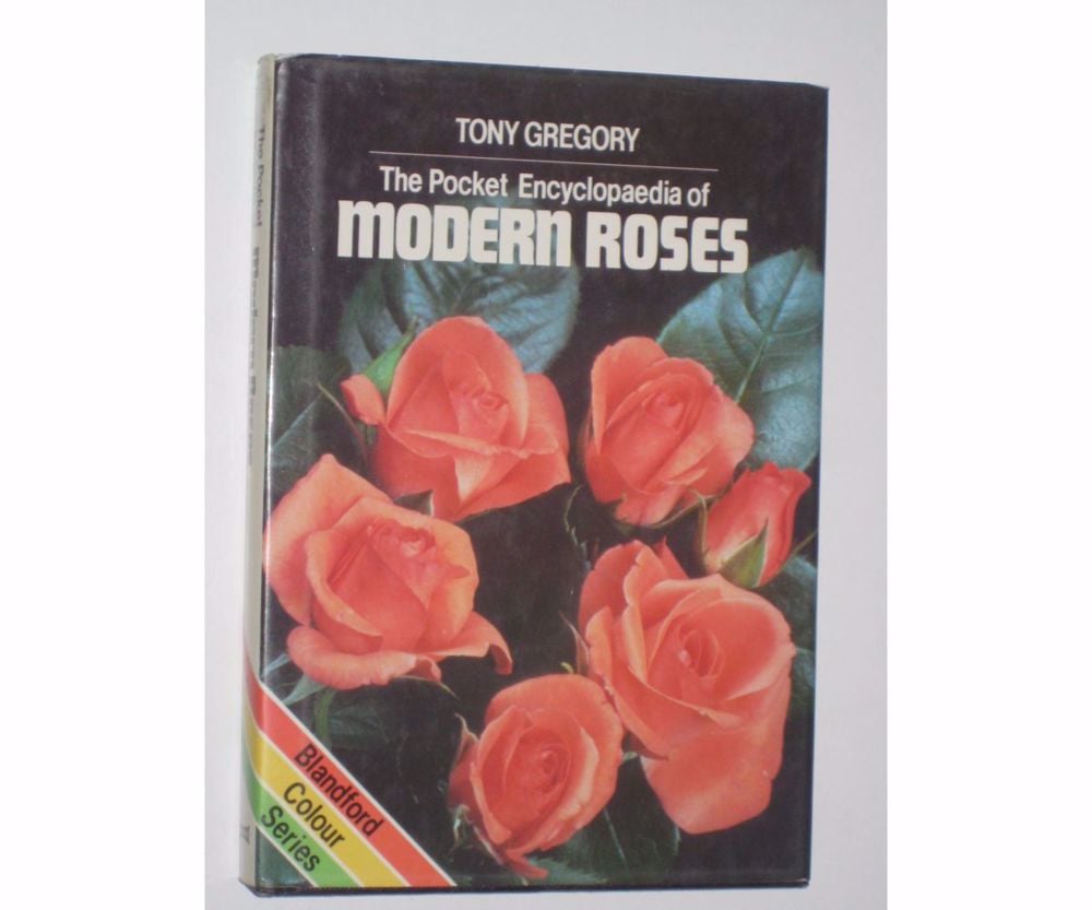 Tony Gregory Modern roses