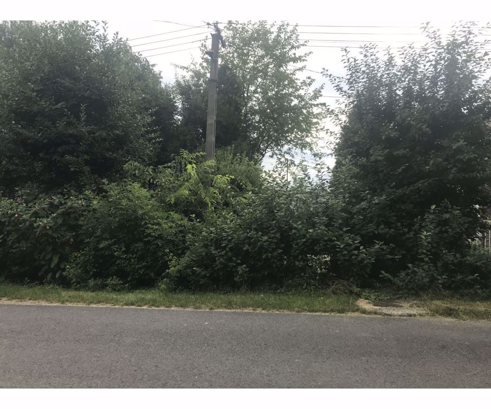 Bozót irtás, terület tisztítás