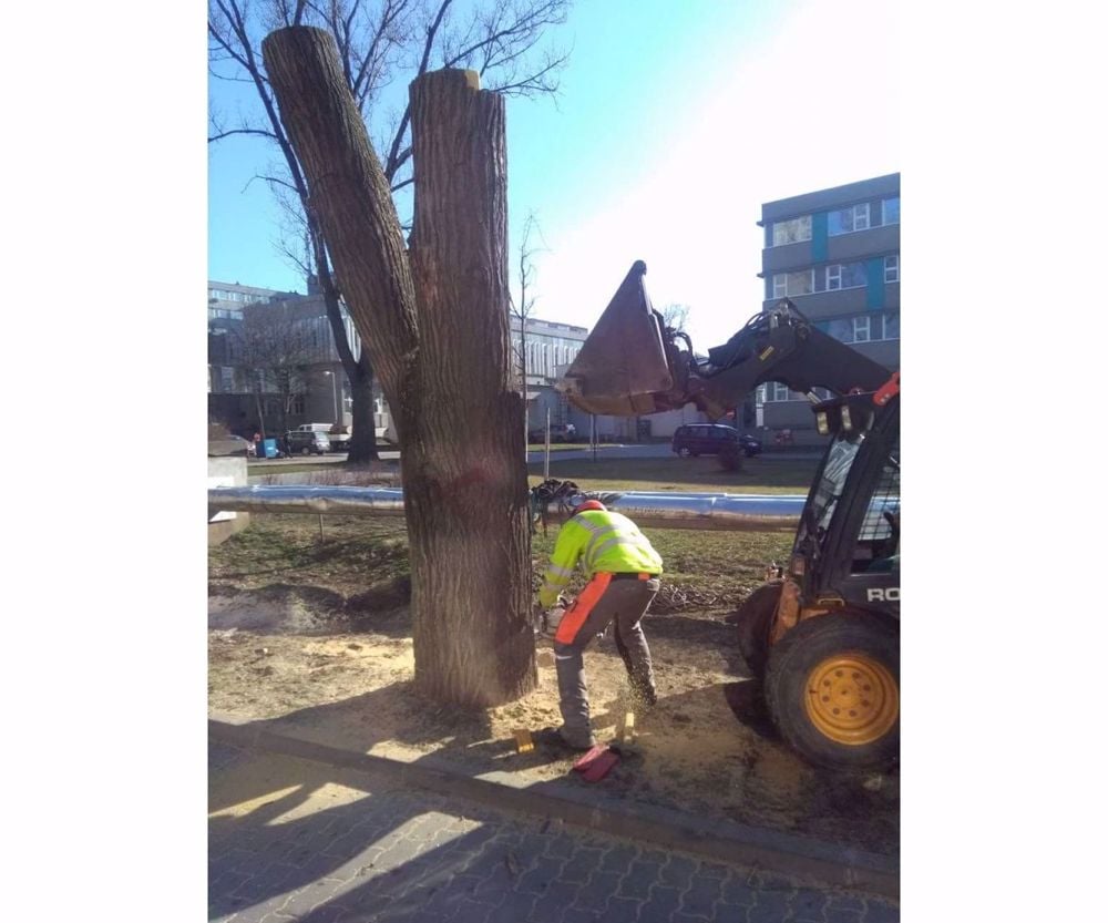 Bozótírtás, favágás, fakivágás, alpintechnika, ágdarálás, aprítás