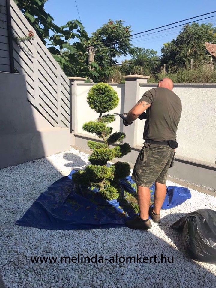 Profi takarítás Somogy megye