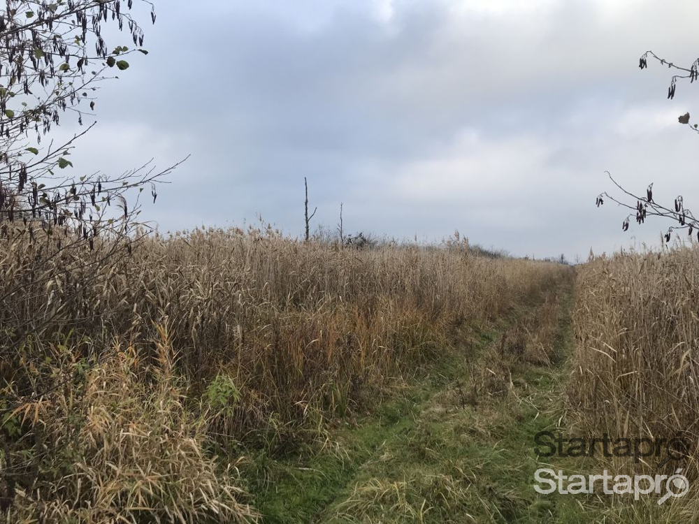 Kis-Balaton mellett 9,7 hektáros külterület eladó