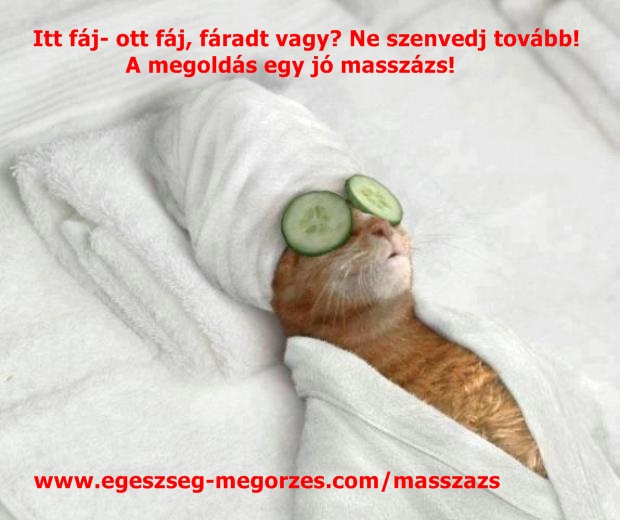 Fáradt, levert vagy?