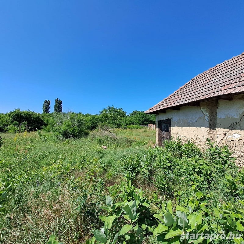 Pilis zártkerti részén a Haleszi dűlőben 1911 m2-es telek, 10 m2-es felújítandó épülettel