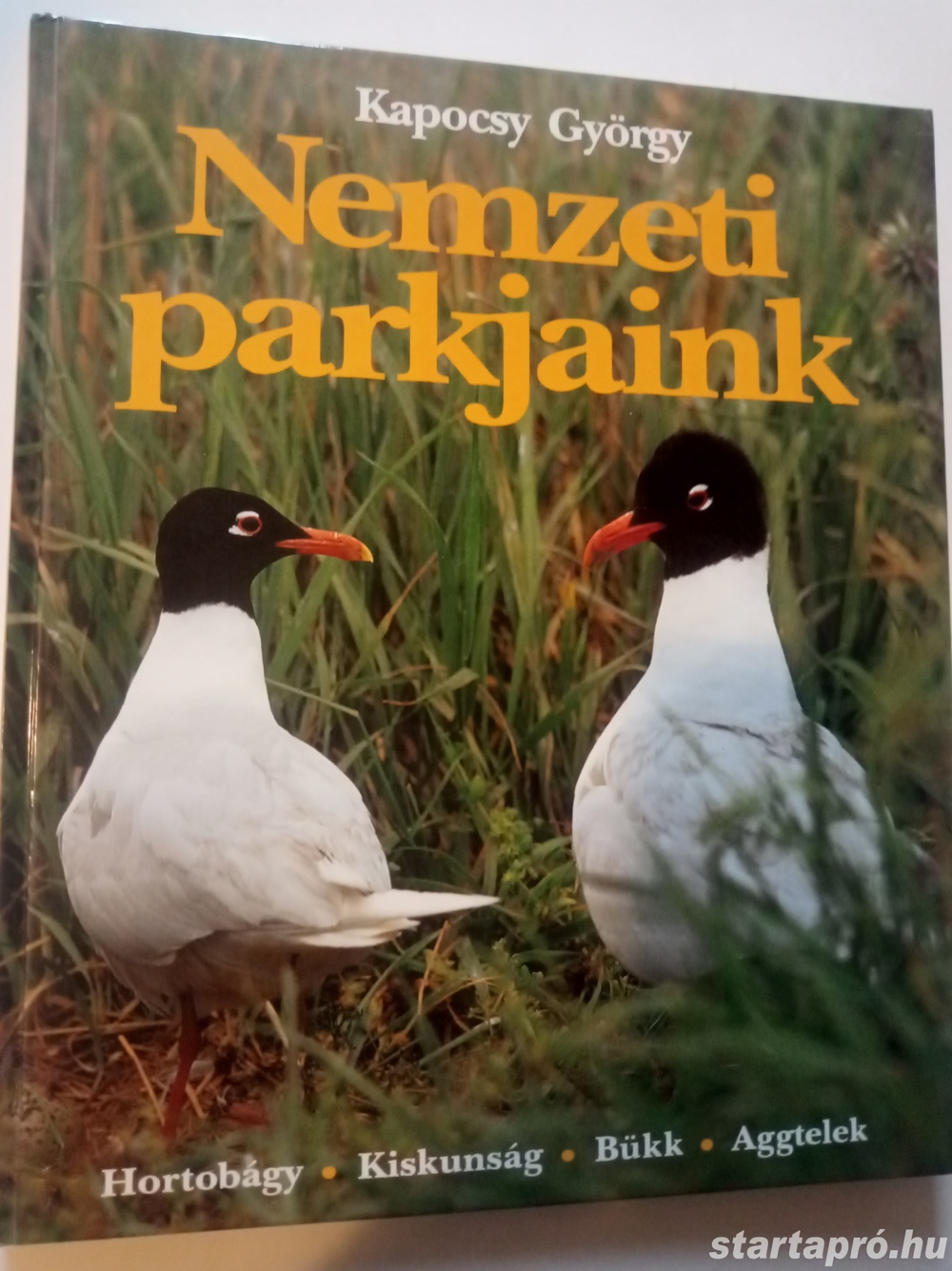 Kapocsy Nemzeti parkjaink