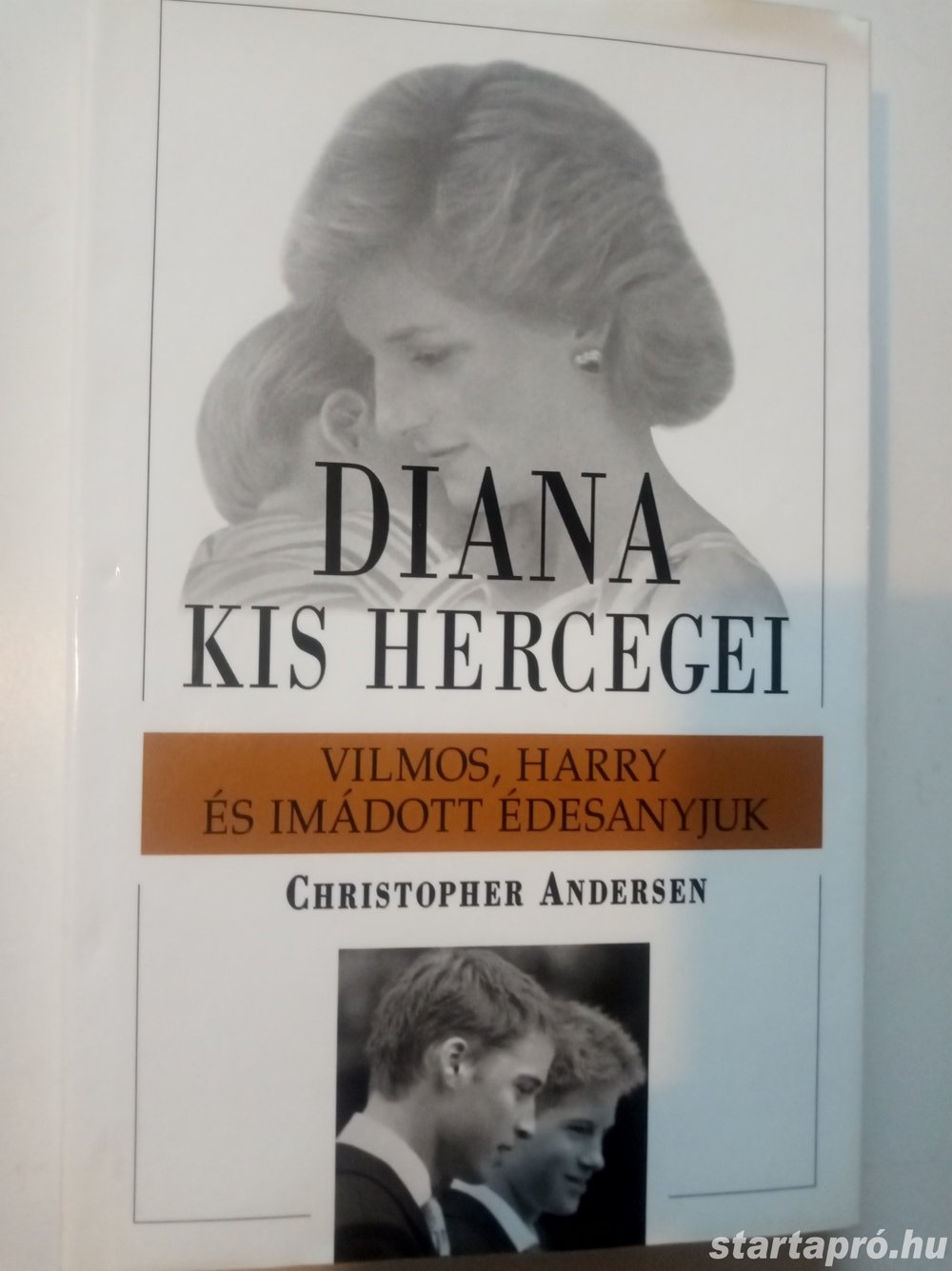 Christopher Andersen Diana kis hercegei