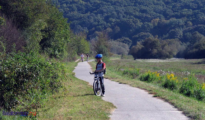 Balatonalmádi Vödörvölgyben 4820 m2 zárkerti ingatlan eladó