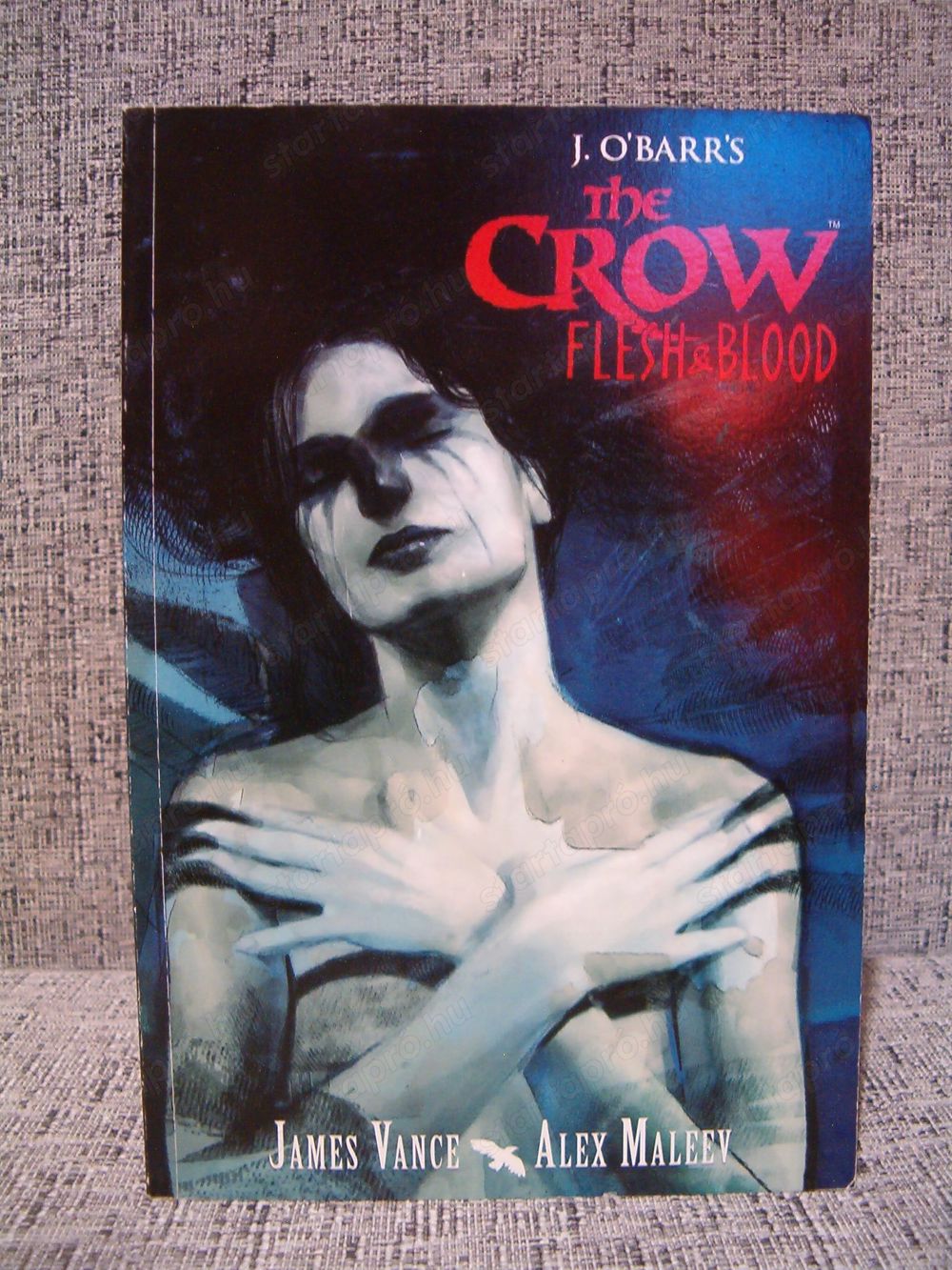 A Holló - The Crow Flesh & Blood képregény (Angol)