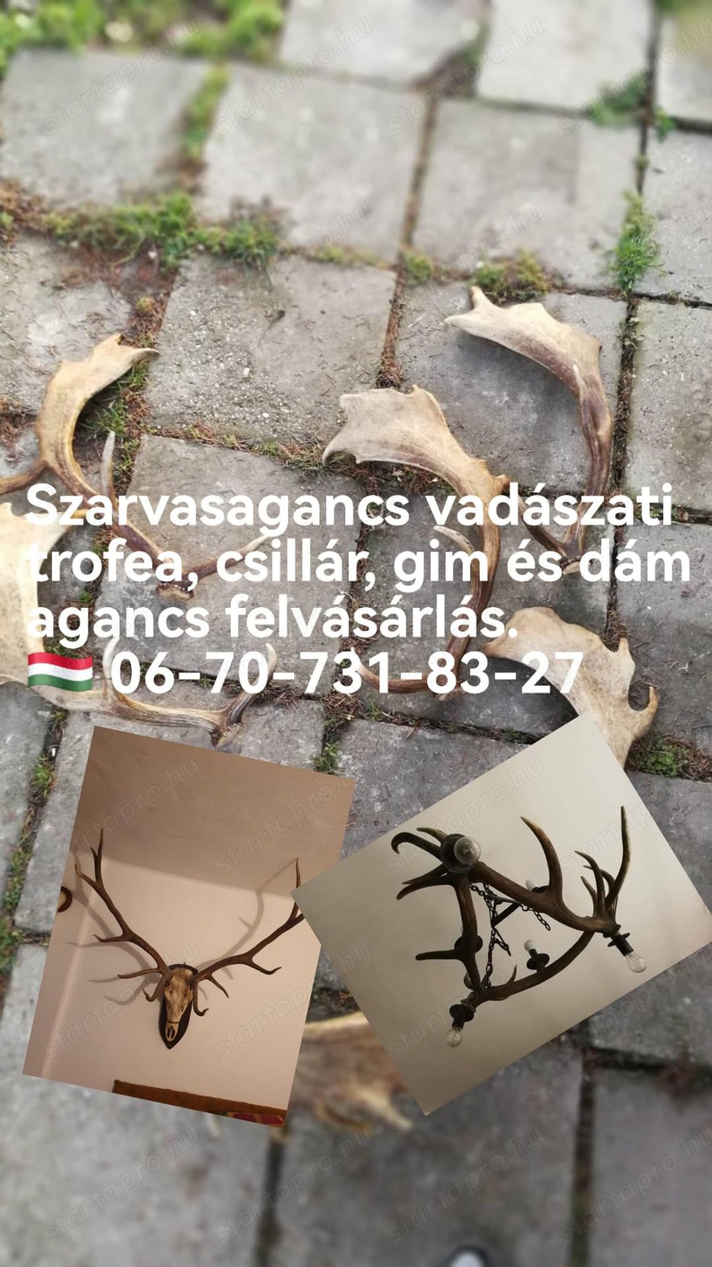 Agancs felvásárlás Veszprém 