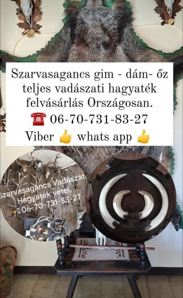 Szarvas Agancs felvásárlás Budapest 