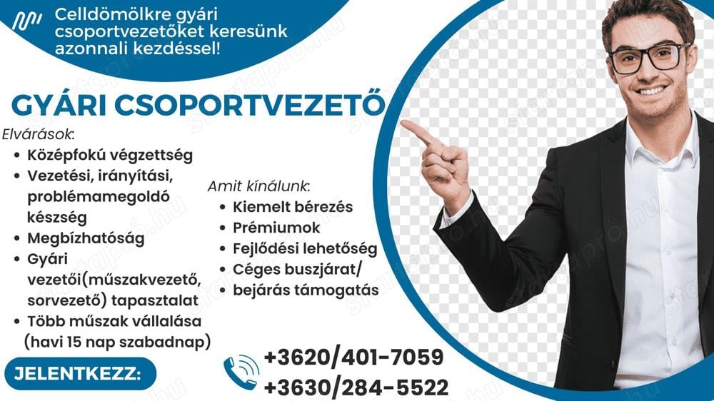 Gyári csoportvezetőt keresünk Vas vármegyébe!