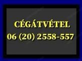 Cégátvétel! Tel: 06 (20) 255 8557, Problémás, teherré vált, cégek átvétele.