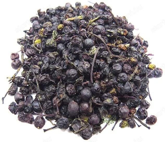 Értékesítése Bodza Gyümölcsök (Elderberry fruits) ömlesztve a gyártótól a legjobb áron