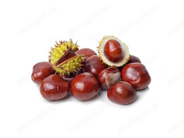 Értékesítése Vadgesztenye gyümölcs (Horse Chestnut) ömlesztve a gyártótól a legjobb áron