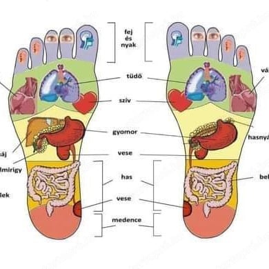 Reflexólógus munkát keresek 