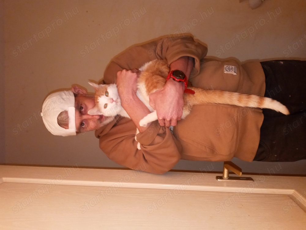 Csomagoló anyag mozgató takaritó 