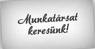 Munkatársat keresek!