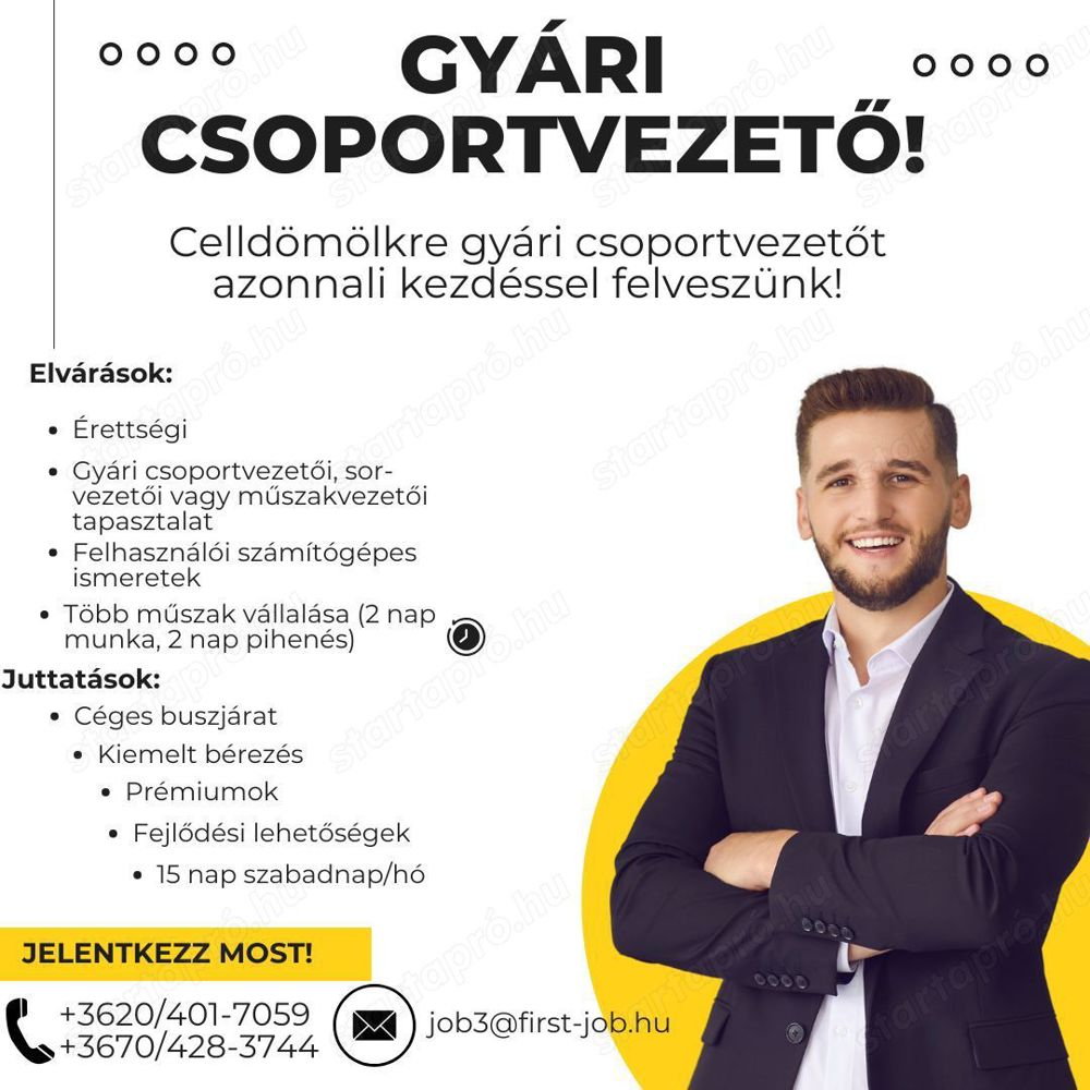 Gyári csoportvezetőt keresünk Vas vármegyébe!