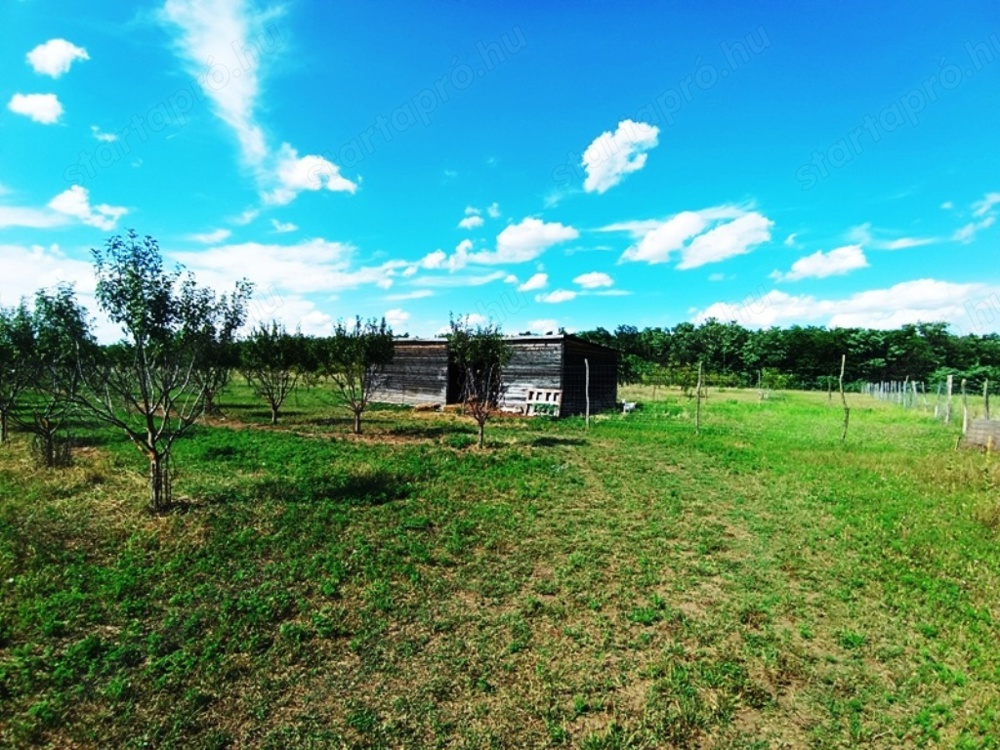Eladó 15 HA mezőgazdasági terület Sződ határában!  