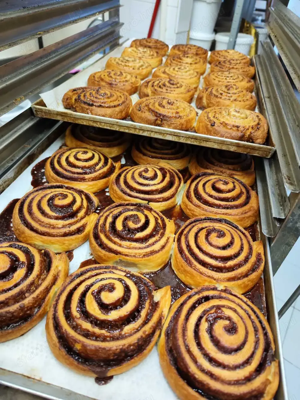 Kisegítő munkatársat keresünk pékműhelyünkbe. (Jelentkezést várjuk:  )