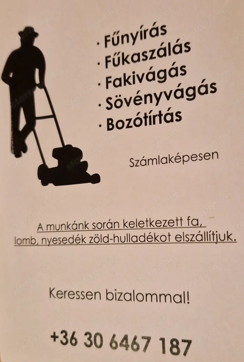 Kertészeti munkákat vállalok! Kertészeti munkákat vállalok!