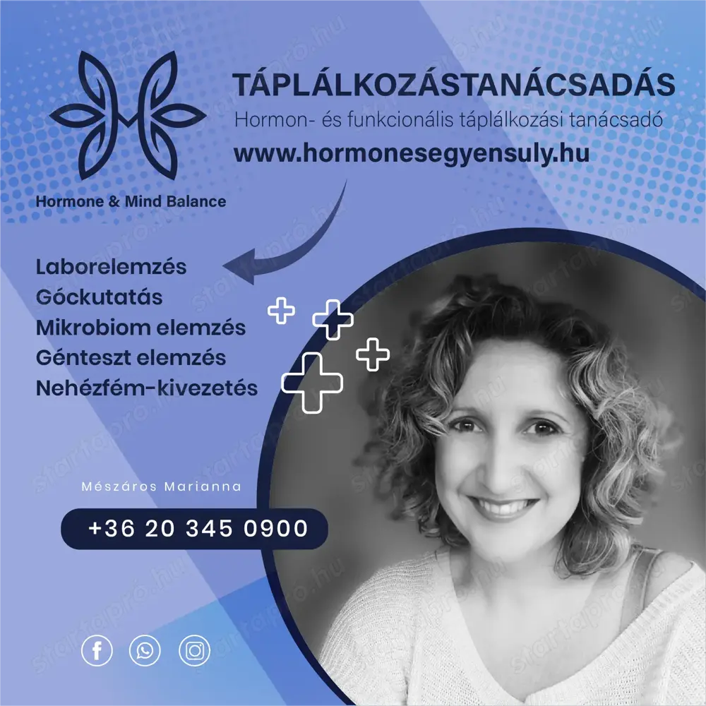 Állapotfelmérés
