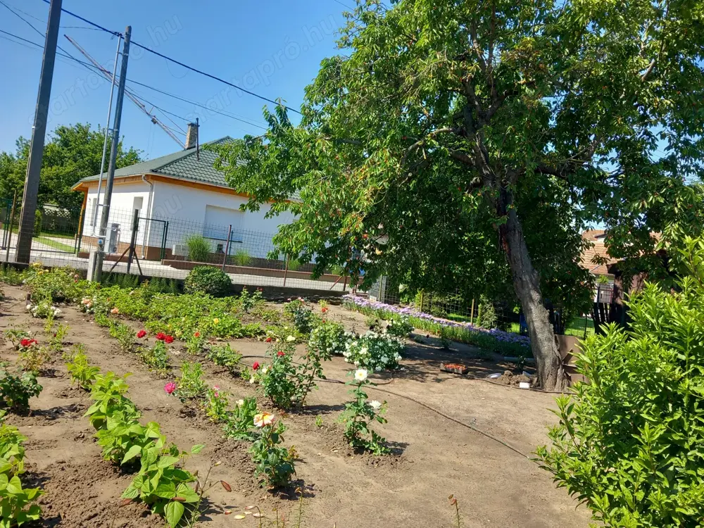 Üllőn közműves 320m2 építési telek eladó