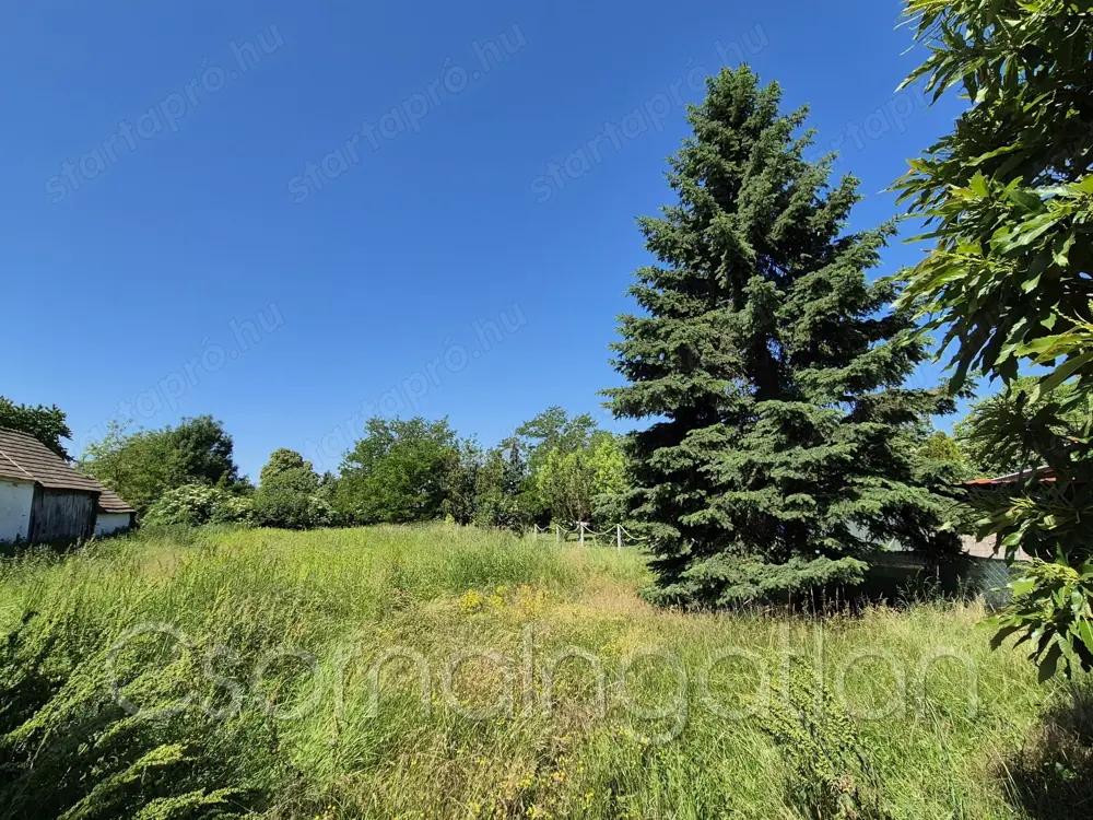 Vág - 1004 m2-es telek eladó