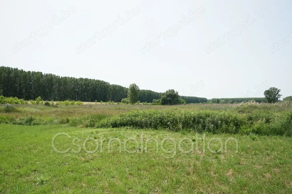 Rábapatona - telek eladó