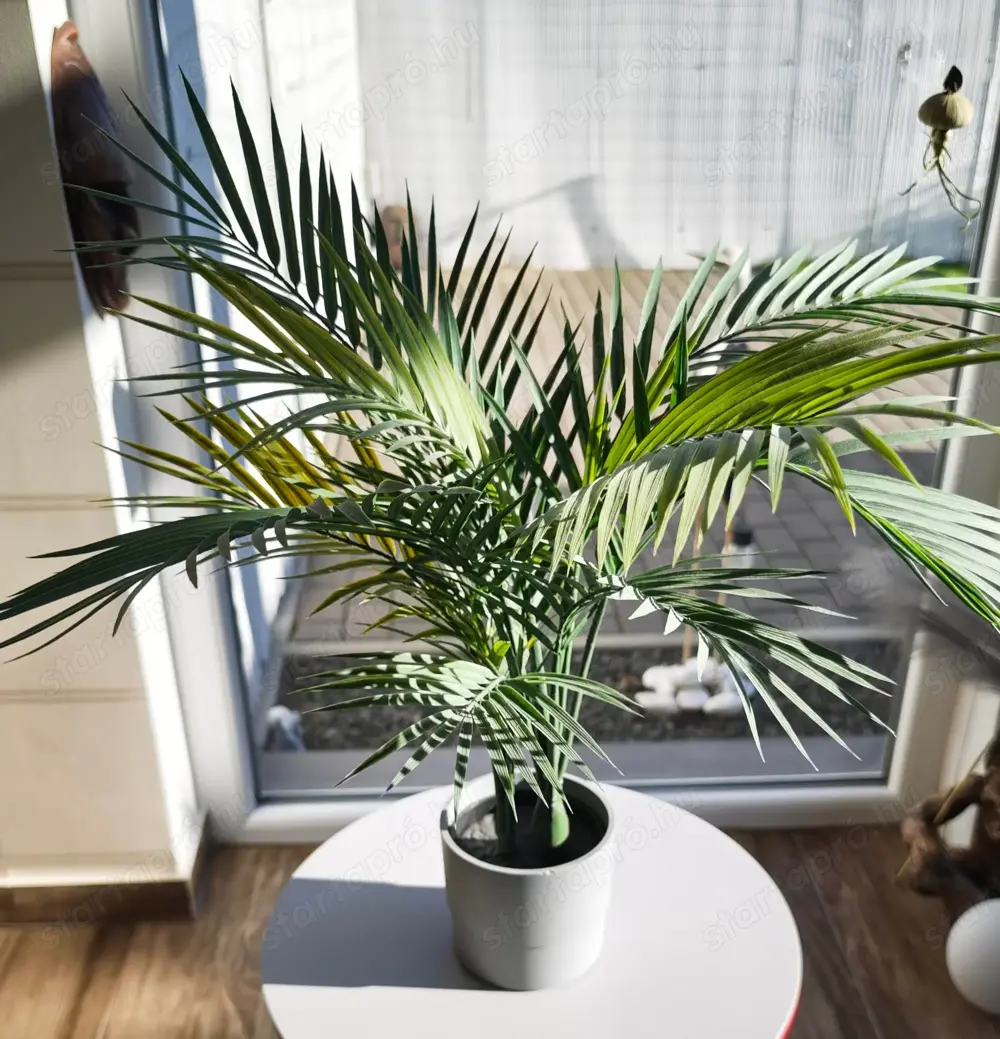 IKEA FEJKA mű növény (305.084.03) IKEA FEJKA mű növény (305.084.03)