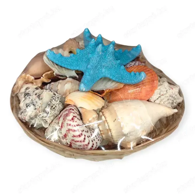 Tengerparti dekoráció kagylókkal és kék tengeri csillaggal