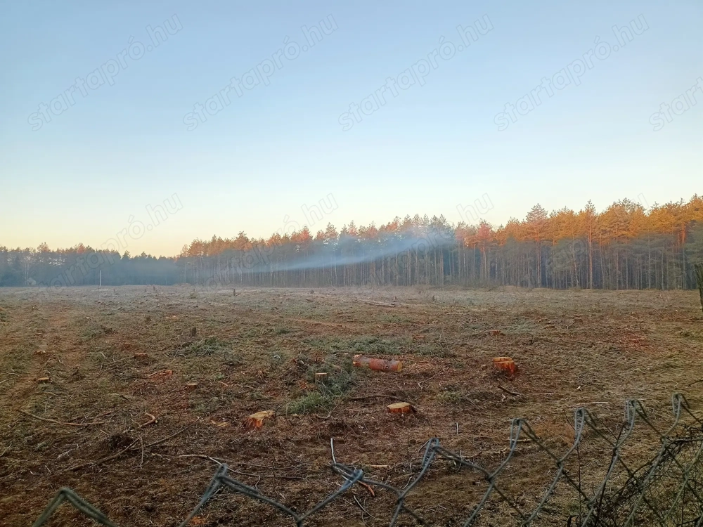  Fiatalabb lányt, fiút keresek, barátkozás céljából.