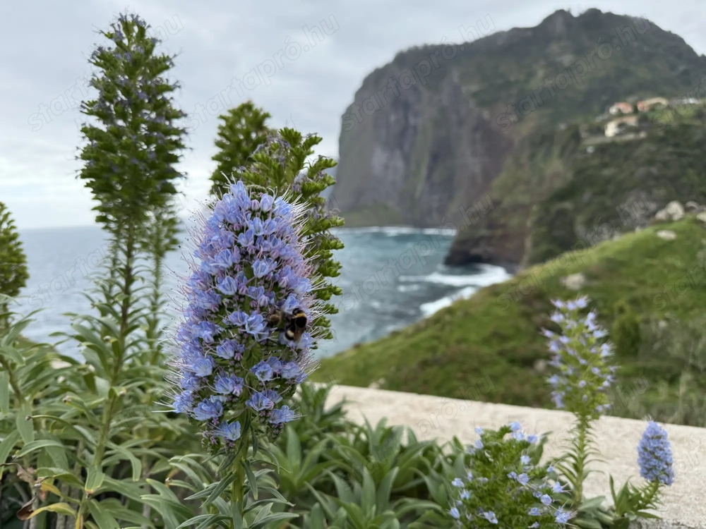 Diszkrét barátság