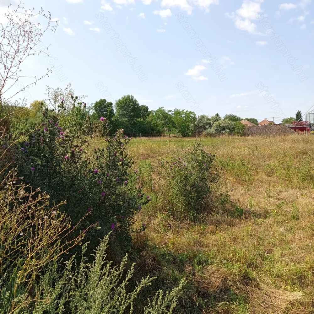 600 nm- és telek- kert jutányos áron