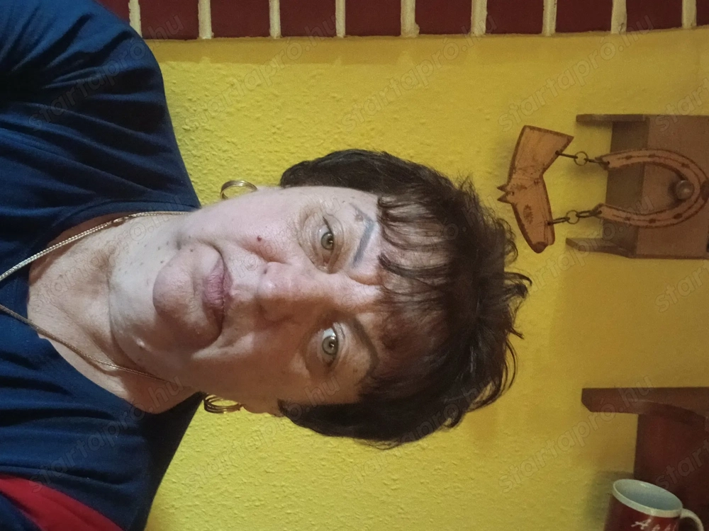 Álláskeresés kezdőként