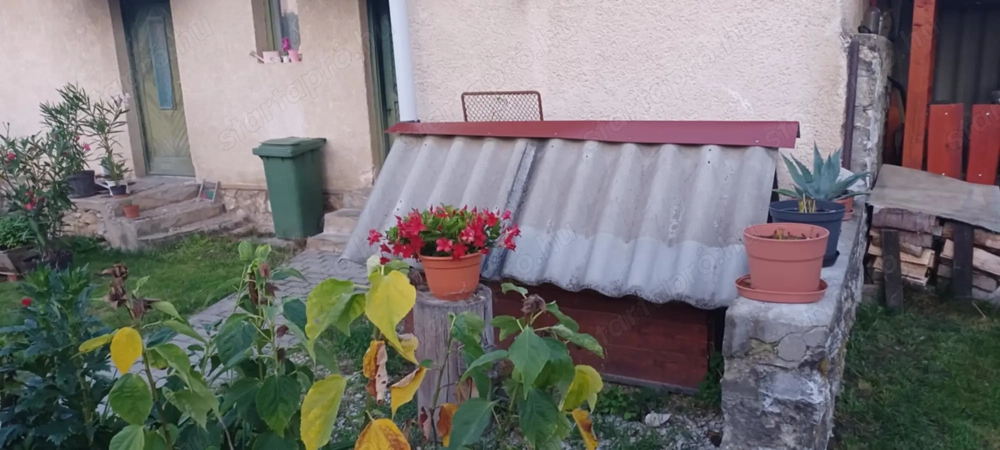 Kutyaól ingyen elvihető