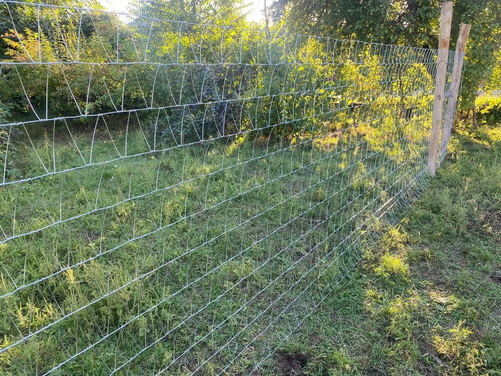 Drótfonat, vadháló,trapézháló,oszlop