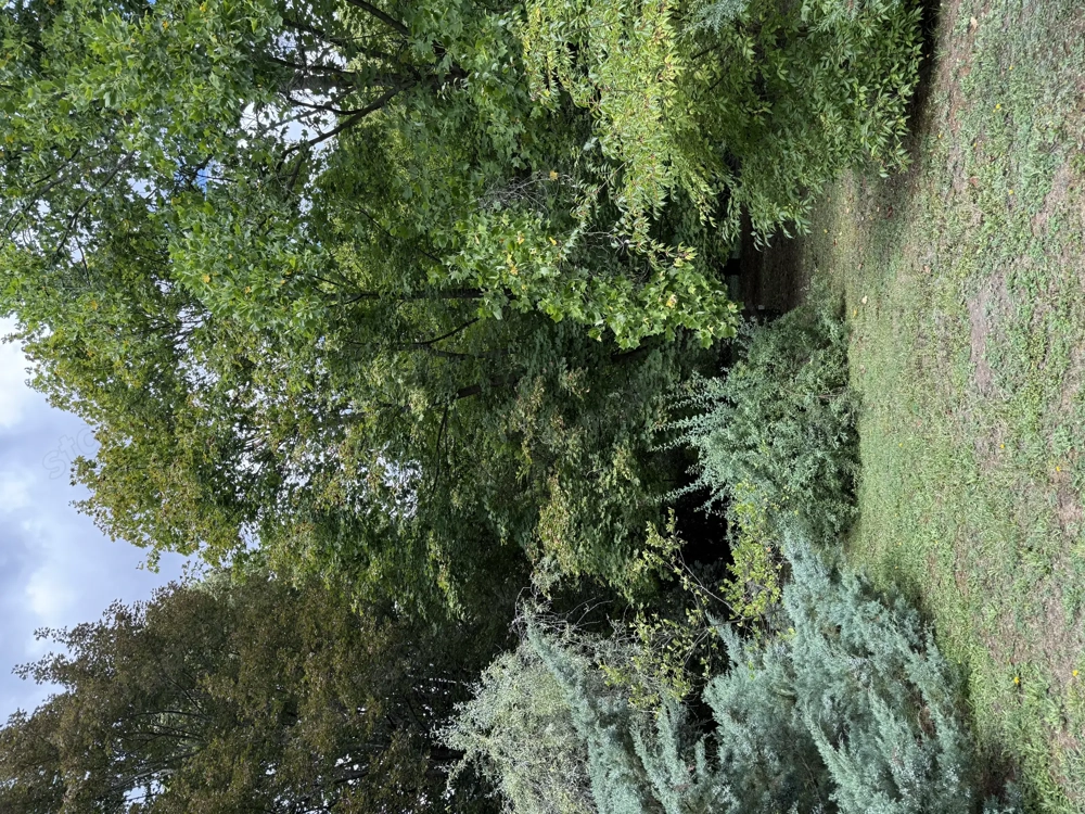 Barátság extrákkal