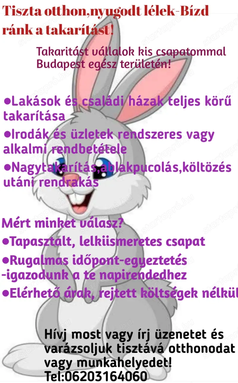 Lakás takarítás