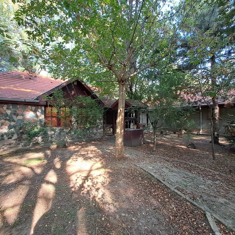 ÁRCSÖKKENÉS! Monorierdőn igényes TANYA istállóval, 2.9 HA területtel!