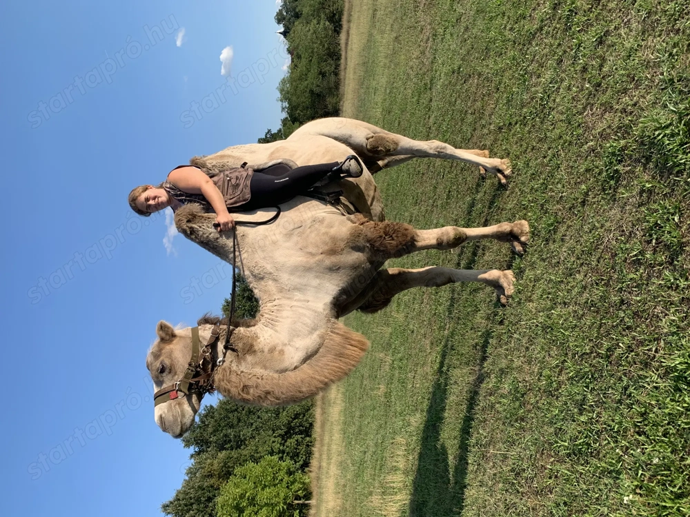 Tevegelési lehetőség!