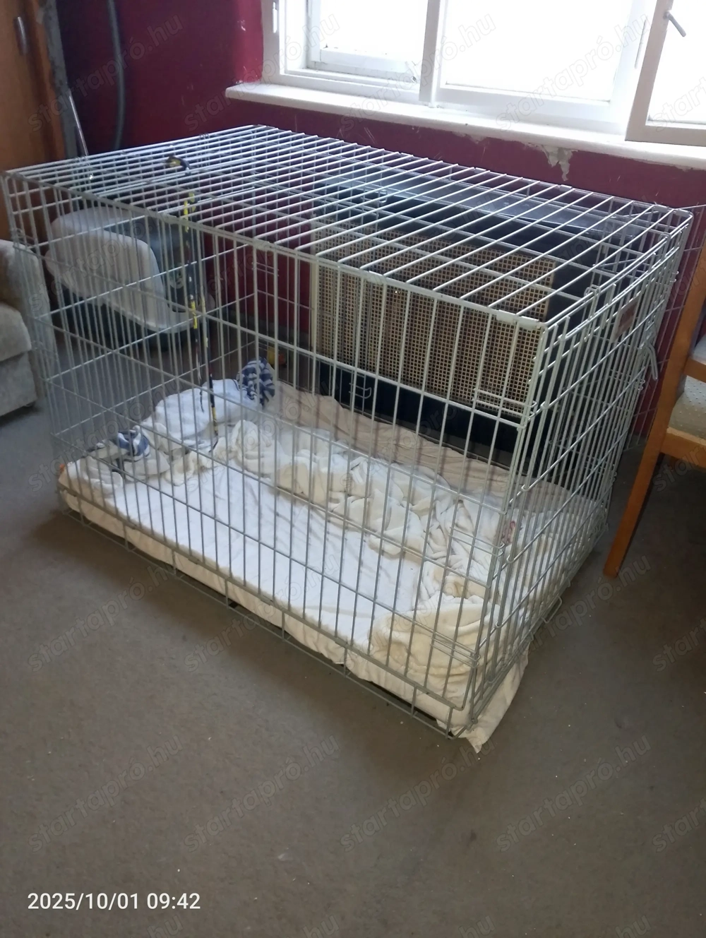 Nagy méretű szoba kennel 