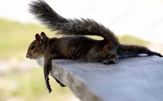 Fáradt, levert, stresszes vagy? Ne szenvedj tovább! Itt a megoldás!