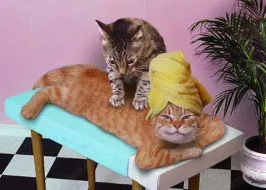 Ha túl sok a stressz az életedben, van megoldás!