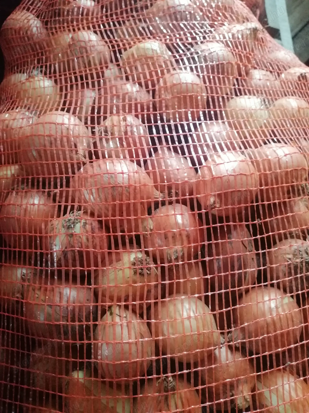 Apró Vöröshagyma Eladó !